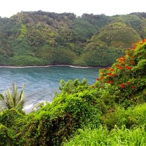 Maui Memories